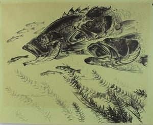 Image description is not available for DU1947.277